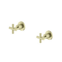 Nero NR201609BG X Plus Wall Tops Assembly Brushed Gold